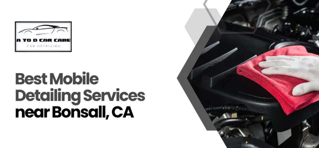 mobile detailing