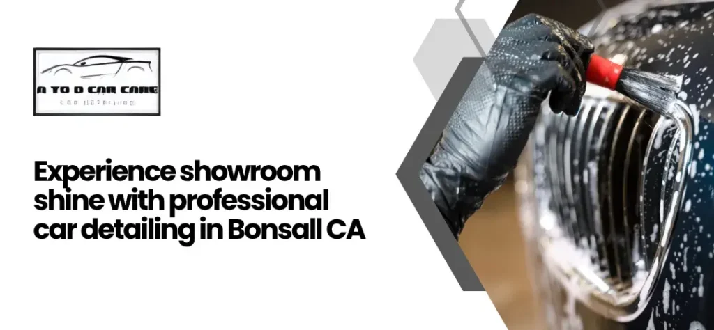 car detailing Bonsall, CA