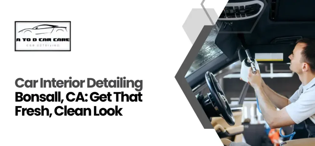car interior detailing