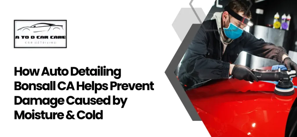 Best Auto Detailing in Bonsall, CA