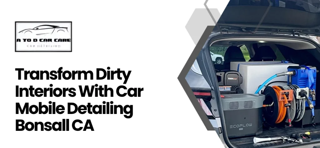 Car Mobile Detailing Bonsall CA