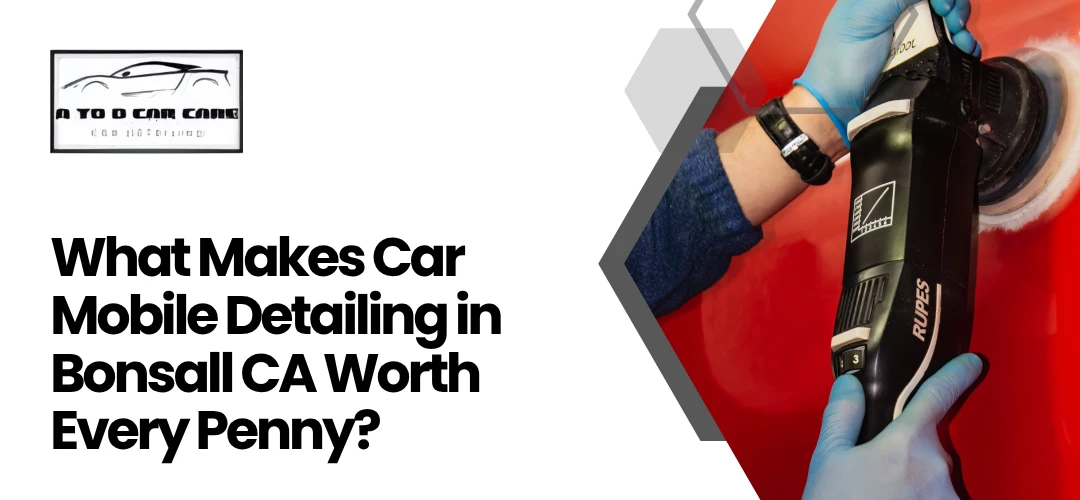 Read more about the article Car Mobile Detailing in Bonsall CA