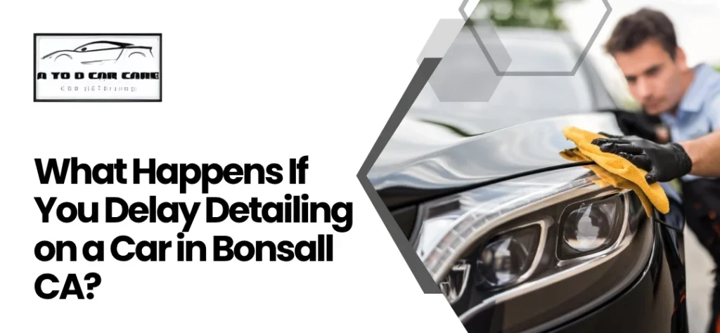 detailing on a car Bonsall CA
