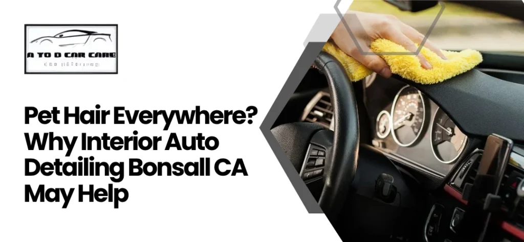 Interior Auto Detailing Bonsall CA