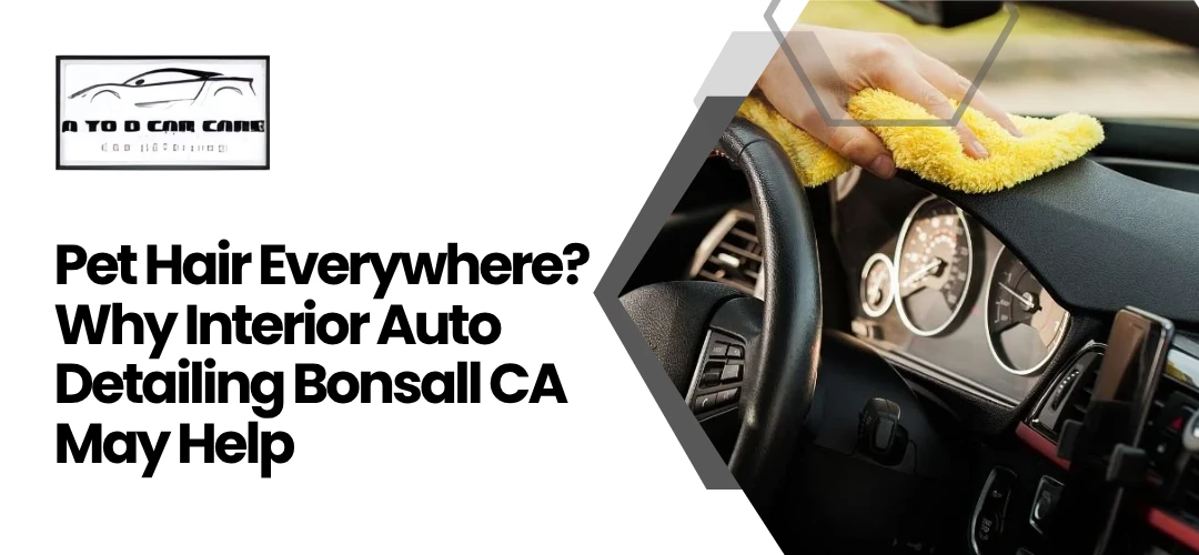 Read more about the article Interior Auto Detailing Bonsall CA