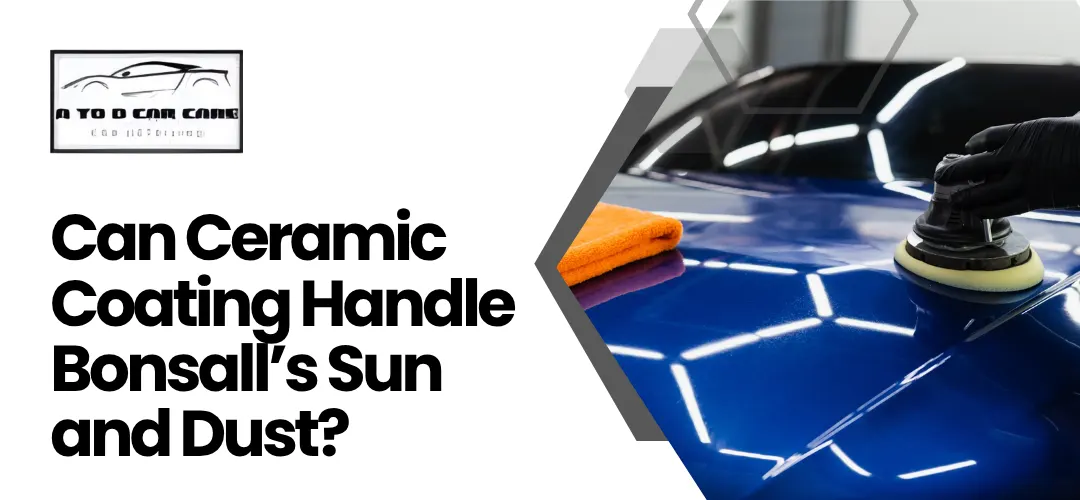 Read more about the article Ceramic Coating Car Bonsall CA